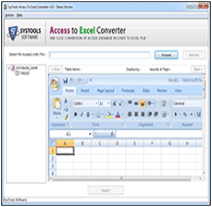 access to xls conversion